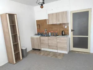 Pronájem bytu 1+kk, České Budějovice - České Budějovice 3, Plzeňská, 18 m2