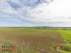 Prodej pozemku pro bydlení, Rebešovice, 4917 m2