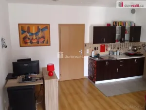 Pronájem bytu 1+kk, Karlovy Vary, Nejdlova, 36 m2