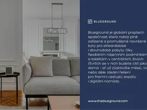 Pronájem bytu 1+kk, Praha - Žižkov, Olšanská, 35 m2