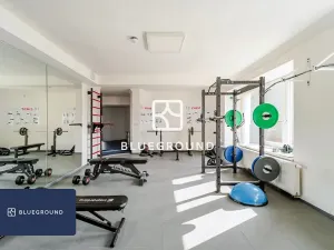 Pronájem bytu 1+kk, Praha - Vinohrady, Perucká, 27 m2