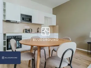 Pronájem bytu 2+kk, Praha - Vinohrady, Písecká, 47 m2