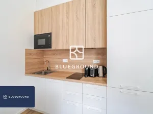 Pronájem bytu 1+kk, Praha - Bubeneč, Veletržní, 28 m2