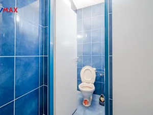 Prodej obchodního prostoru, Rataje nad Sázavou, 200 m2