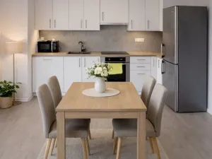 Prodej bytu 2+kk, České Budějovice - České Budějovice 2, Krčínova, 70 m2