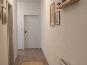 Prodej bytu 2+kk, České Budějovice - České Budějovice 2, Krčínova, 70 m2