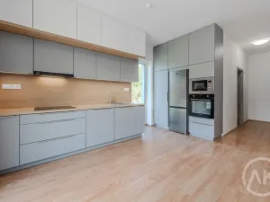 Pronájem bytu 1+kk, Bravantice, 39 m2