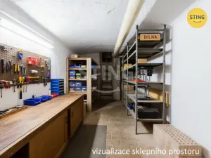 Prodej bytu 3+1, Opava, Vaškovo náměstí, 129 m2