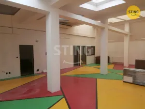 Pronájem kanceláře, Opava, Dolní náměstí, 206 m2