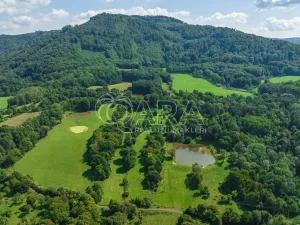 Prodej rybníku, Vojkovice - Jakubov, 105479 m2