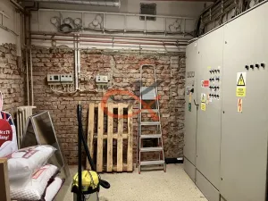 Prodej obchodního prostoru, Prostějov, Tylova, 2433 m2