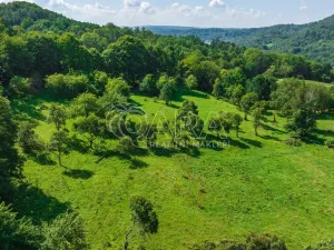 Prodej rybníku, Vojkovice - Jakubov, 40470 m2