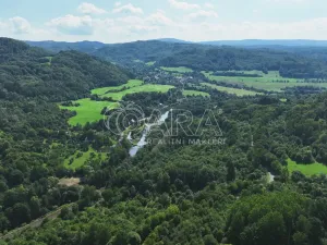 Prodej rybníku, Vojkovice - Jakubov, 40470 m2