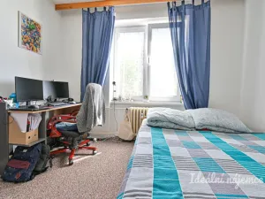 Pronájem bytu 2+1, Brno - Staré Brno, Úvoz, 55 m2