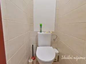 Pronájem bytu 2+1, Brno - Staré Brno, Úvoz, 55 m2