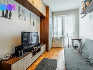 Prodej bytu 1+kk, Třinec, Lidická, 18 m2