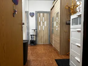 Prodej bytu 2+1, Chomutov, Václavská, 50 m2