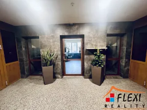 Pronájem bytu 1+1, Ostrava, Čujkovova, 50 m2