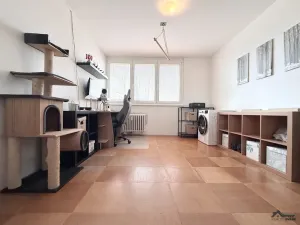 Prodej bytu 4+1, Frýdek-Místek, 17. listopadu, 95 m2