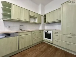 Pronájem bytu 2+1, Osek, Nelsonská, 61 m2