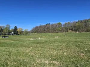 Prodej pozemku pro bydlení, Raspenava, Lužecká, 1891 m2