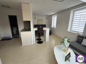 Prodej bytu 2+kk, Horní Planá, Palackého, 31 m2