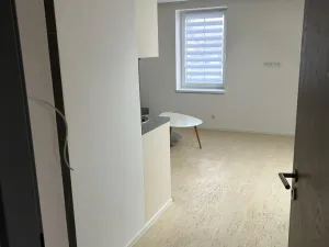 Prodej bytu 2+kk, Horní Planá, Palackého, 31 m2