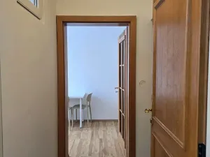 Pronájem bytu 1+1, Praha - Braník, Mezivrší, 55 m2