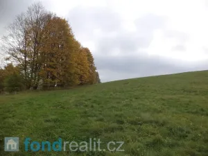 Prodej pole, Vlastiboř, 23043 m2