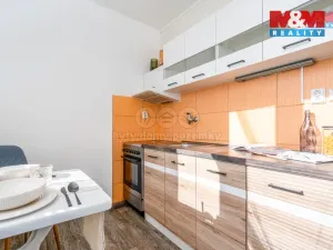 Pronájem bytu 1+1, Rokytnice v Orlických horách, U Nádraží, 41 m2