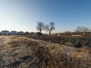 Prodej pozemku pro bydlení, Syrovice, 624 m2