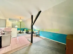 Pronájem bytu 1+kk, Hrobice, 45 m2