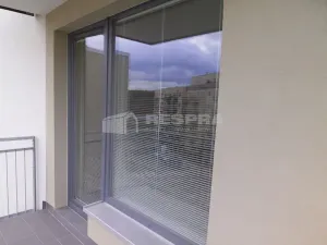 Pronájem bytu 2+kk, Praha - Hostivař, Rižská, 57 m2