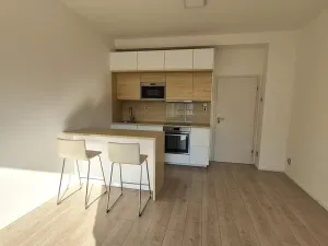 Prodej bytu 1+kk, Brno, Přadlácká, 29 m2