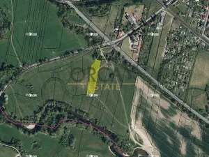 Prodej louky, Třebechovice pod Orebem, 4201 m2