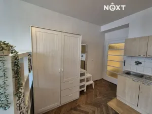 Pronájem bytu 1+kk, Praha - Žižkov, Žerotínova, 27 m2