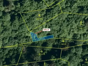 Dražba lesa, Hovězí, 115 m2