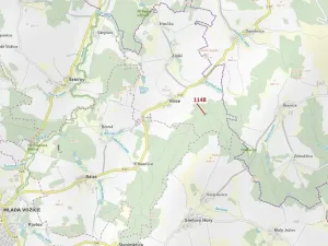 Dražba lesa, Vilice, 1105 m2