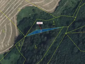 Dražba lesa, Letohrad, 282 m2