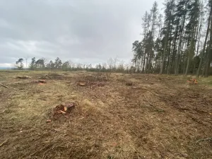 Prodej lesa, Blížejov - Lštění, 4624 m2