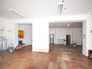 Pronájem obchodního prostoru, Dobřany, Lidická, 120 m2