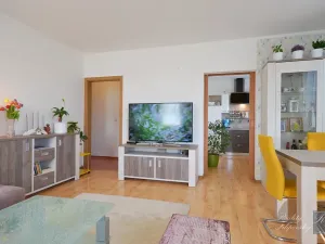 Prodej bytu 2+1, Chlumec, Stradovská, 64 m2