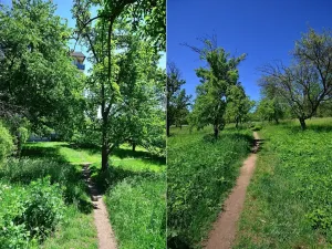 Prodej bytu 2+1, Chlumec, Stradovská, 64 m2