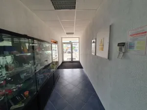 Pronájem kanceláře, Brno - Líšeň, Holzova, 47 m2