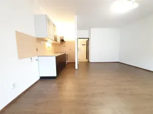 Pronájem bytu 1+kk, Praha - Nusle, Bohuslava ze Švamberka, 34 m2