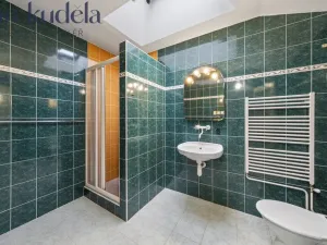 Pronájem rodinného domu, Brno, Horova, 106 m2