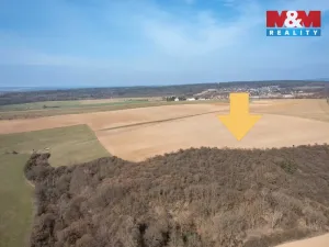 Prodej pole, Starý Plzenec, 36305 m2