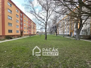 Prodej bytu 3+1, Přerov - Přerov I-Město, Dvořákova, 68 m2