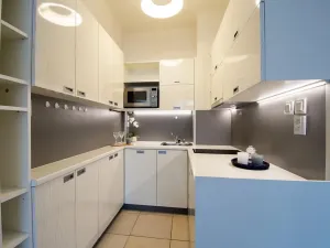 Pronájem bytu 2+kk, Praha - Vinohrady, Písecká, 56 m2