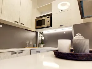 Pronájem bytu 2+kk, Praha - Vinohrady, Písecká, 56 m2